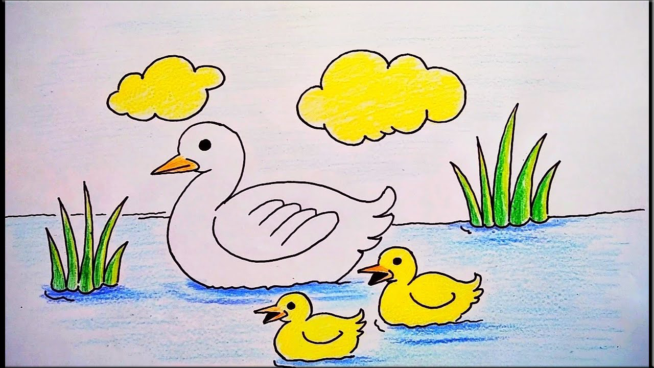 23 Menggambar dan mewarnai fauna, bebek berenang di sungai