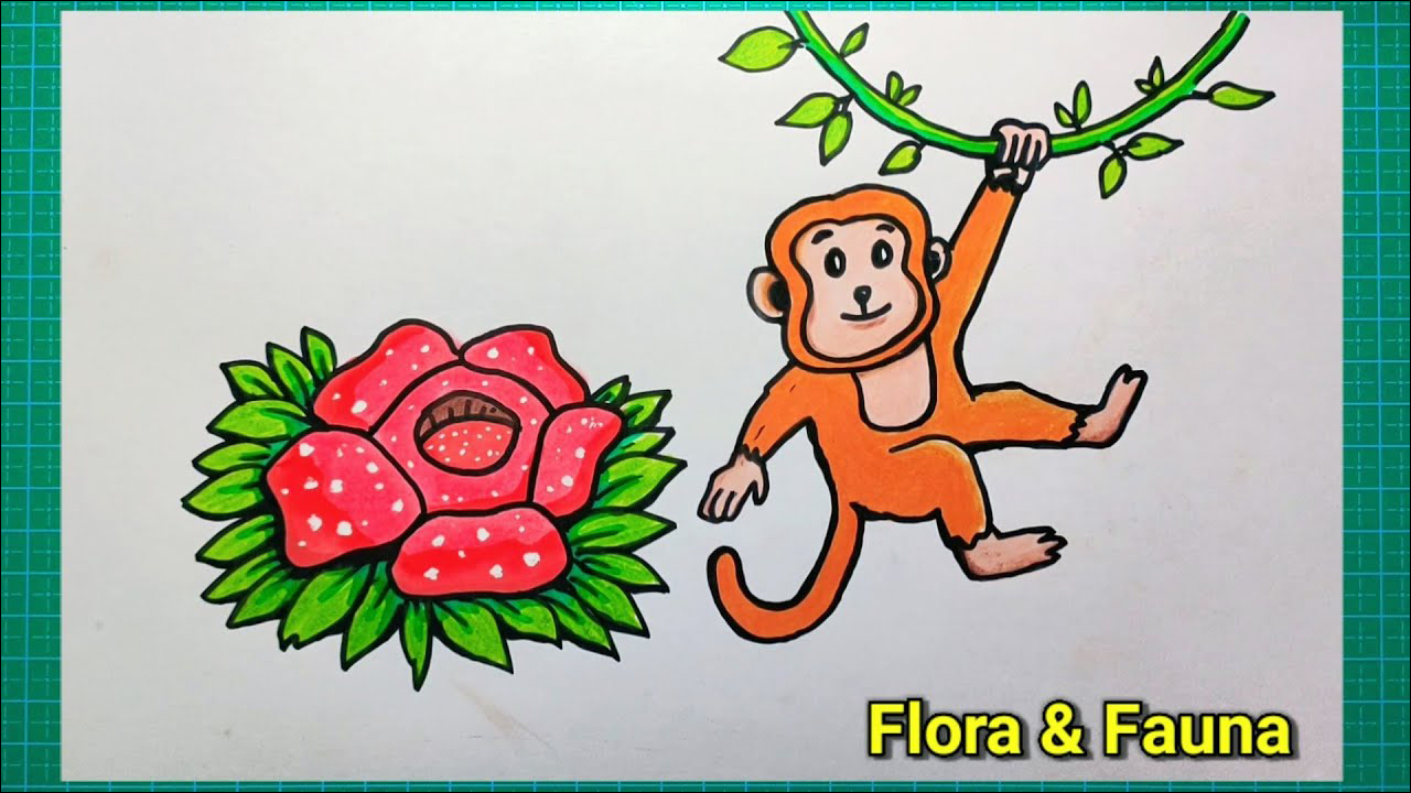 24 Menggambar flora dan fauna mudah, seekor orangutan dan bunga raflesia hutan