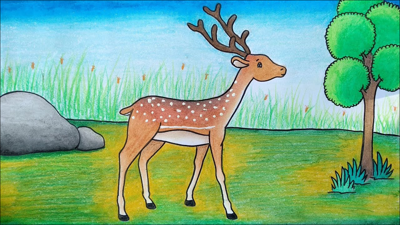 26 Menggambar dan mewarnai fauna dan flora, pemandangan hutan dan seekor rusa yang indah