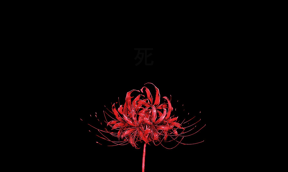 9. Red Flower Wallpaper Keren HD