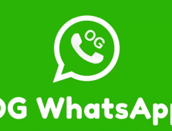 Download OG WhatsApp Pro (OG WA) Apk MOD Terbaru 2023