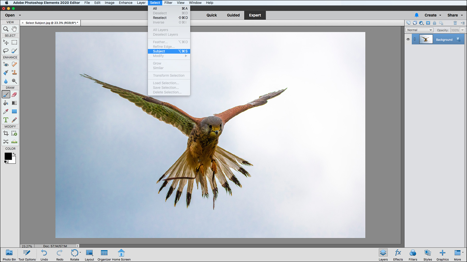 2. Select Tool Adobe Photoshop Elements 2020