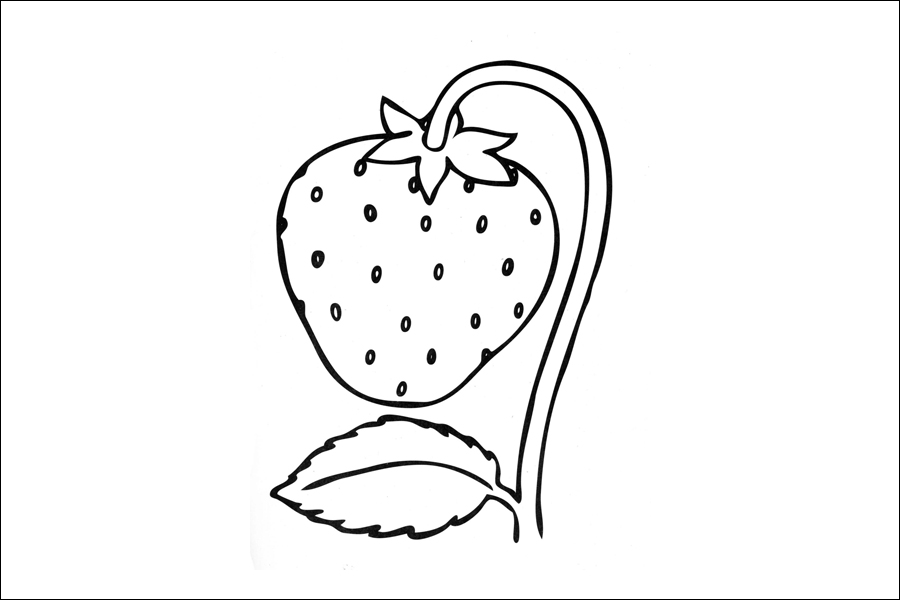 Gambar 02. Sketsa Buah Strawberry Dan Daun