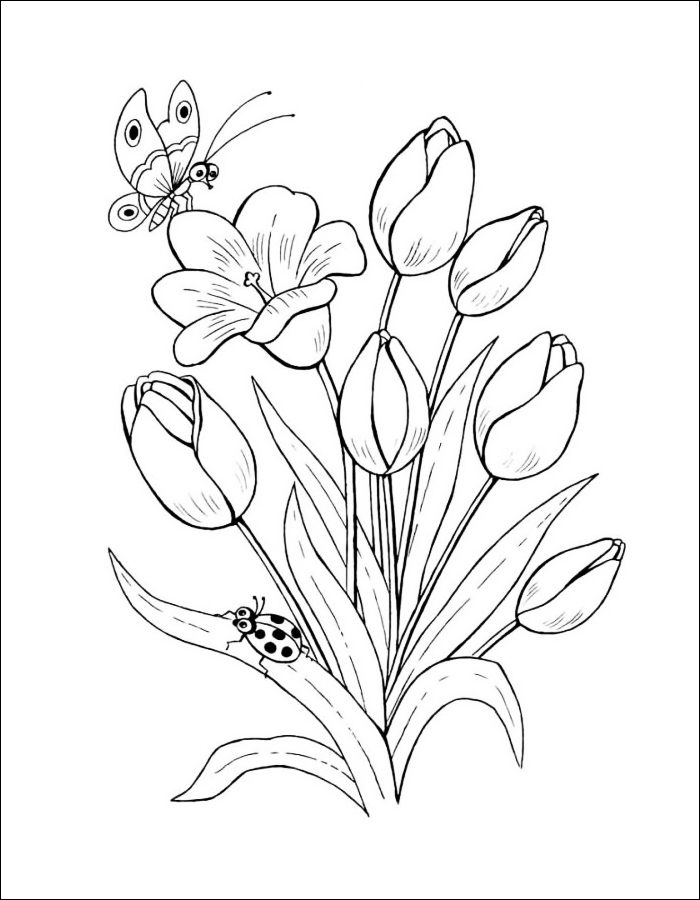 Gambar 03. Gambar mewarnai serumpun bunga Tulip