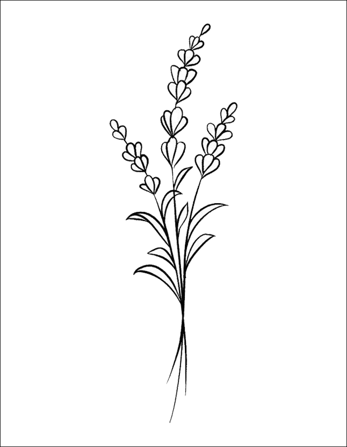 Gambar 07. Gambar mewarnai bunga Lavender dengan pita cantik