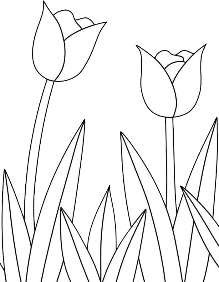 Gambar 08. Gambar mewarnai bunga untuk anak SD