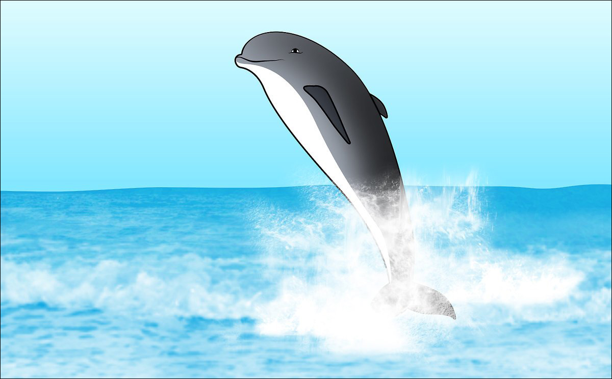 Gambar 09. Lumba-lumba di Laut