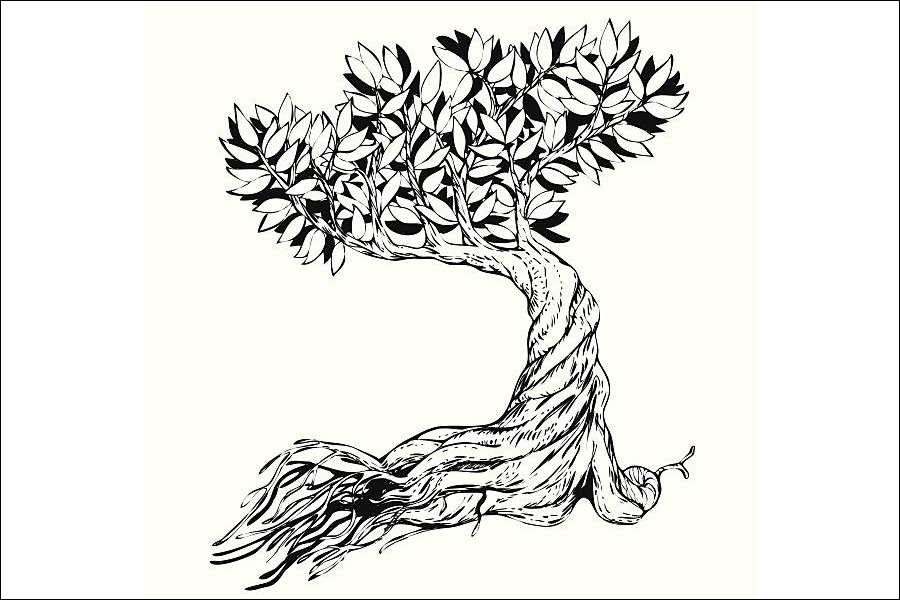 Gambar 10. Pohon Bonsai Lebat