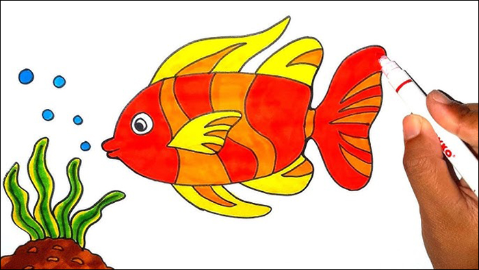 Gambar 13. Ikan Mas Koki