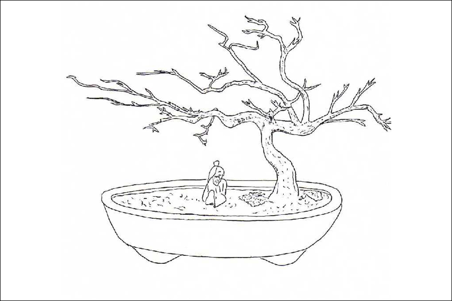 Gambar 14. Bonsai Mini