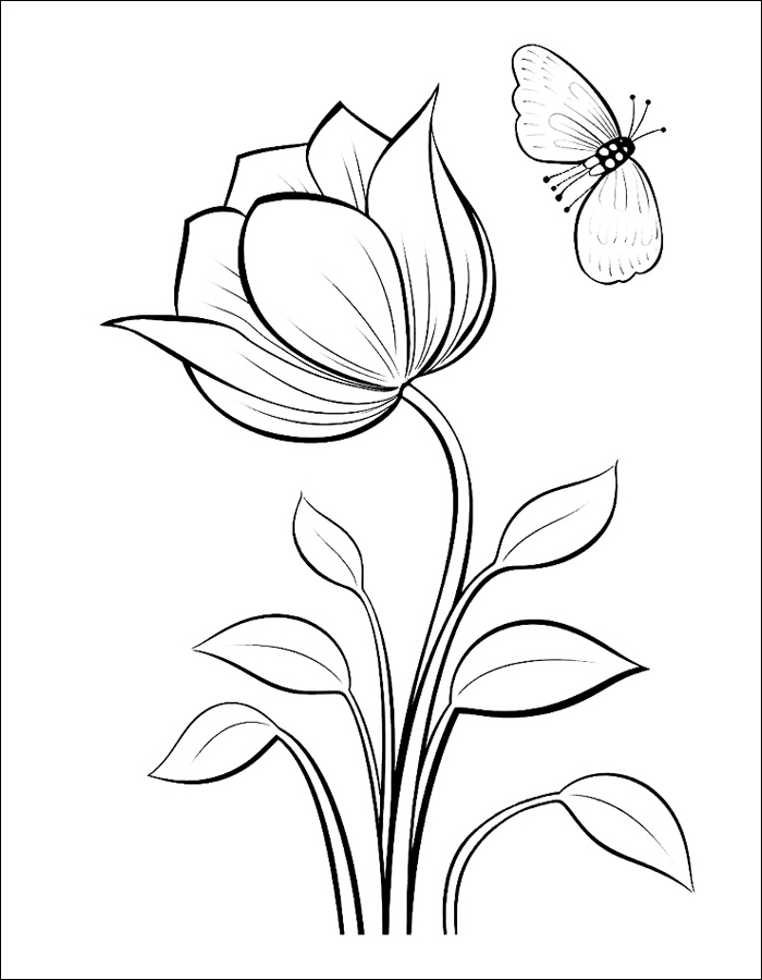 Gambar 20. Gambar mewarnai bunga Tulip