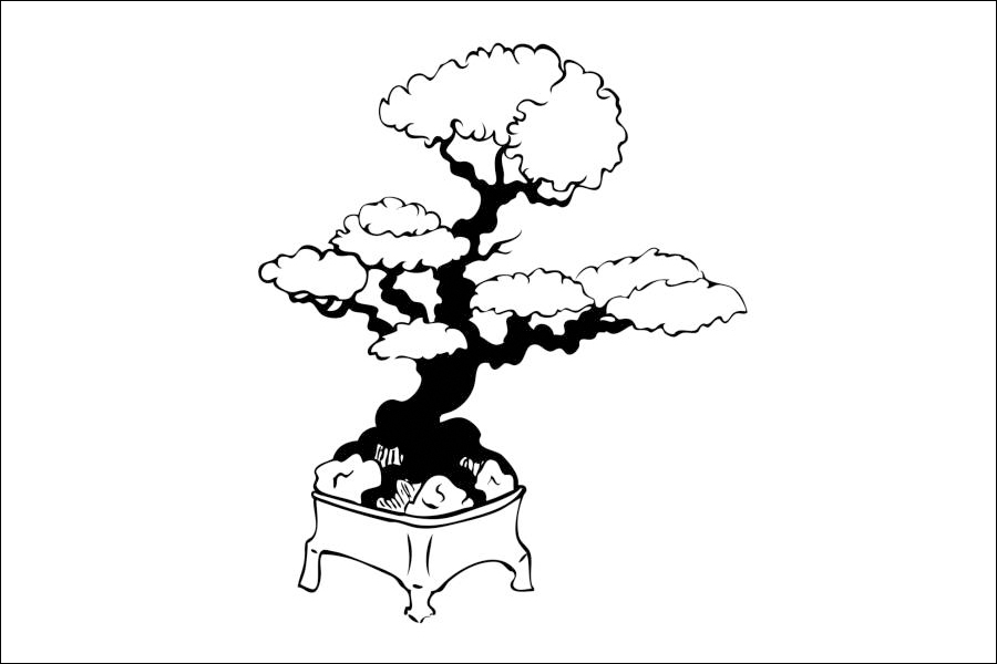 Gambar 22. Pohon Bonsai dalam Pot Kecil