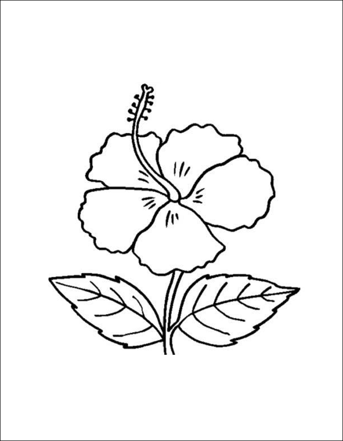 Gambar 23. Gambar mewarnai setangkai bunga Asoka