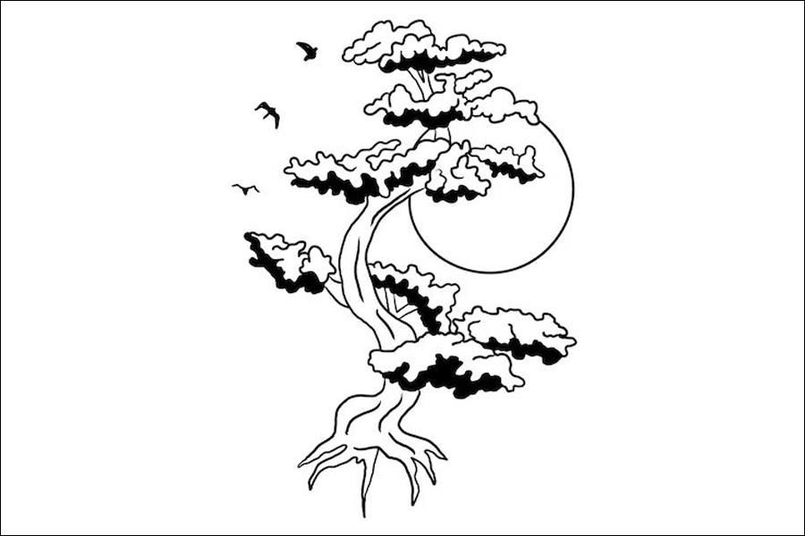 Gambar 24. Pohon Bonsai Tinggi