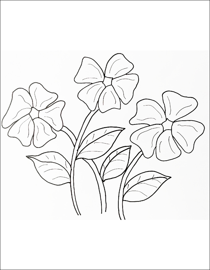 Gambar 27. Gambar mewarnai tiga tangkai bunga Vinca dengan daun hijau