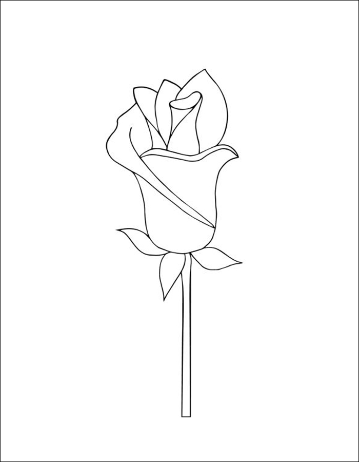 Gambar 28. Gambar mewarnai bunga mawar yang akan mekar