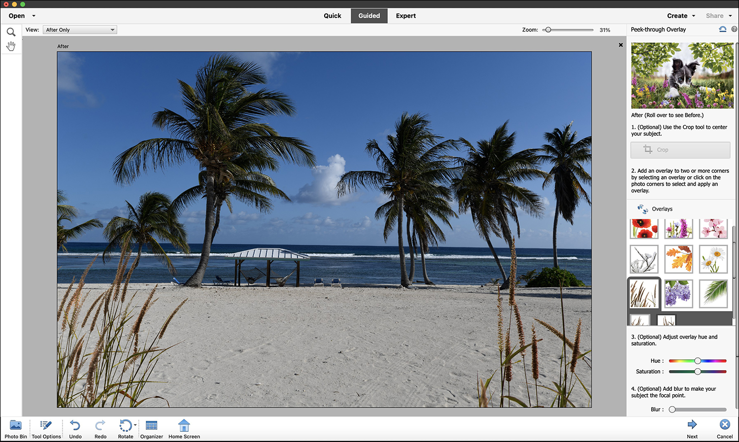 Photoshop Elements 2023 - Peek Through Overlay - dpreview.com as