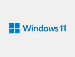 Download Windows 11 ISO 32 Bit / 64 Bit (Update 2024)